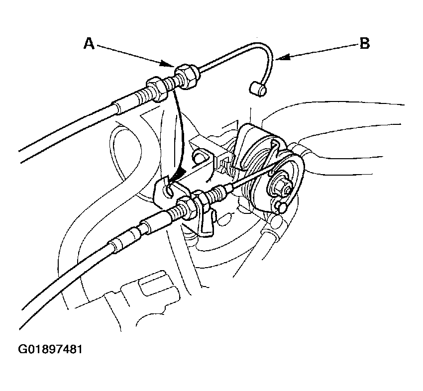 G01897481