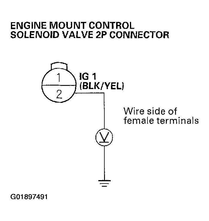 G01897491