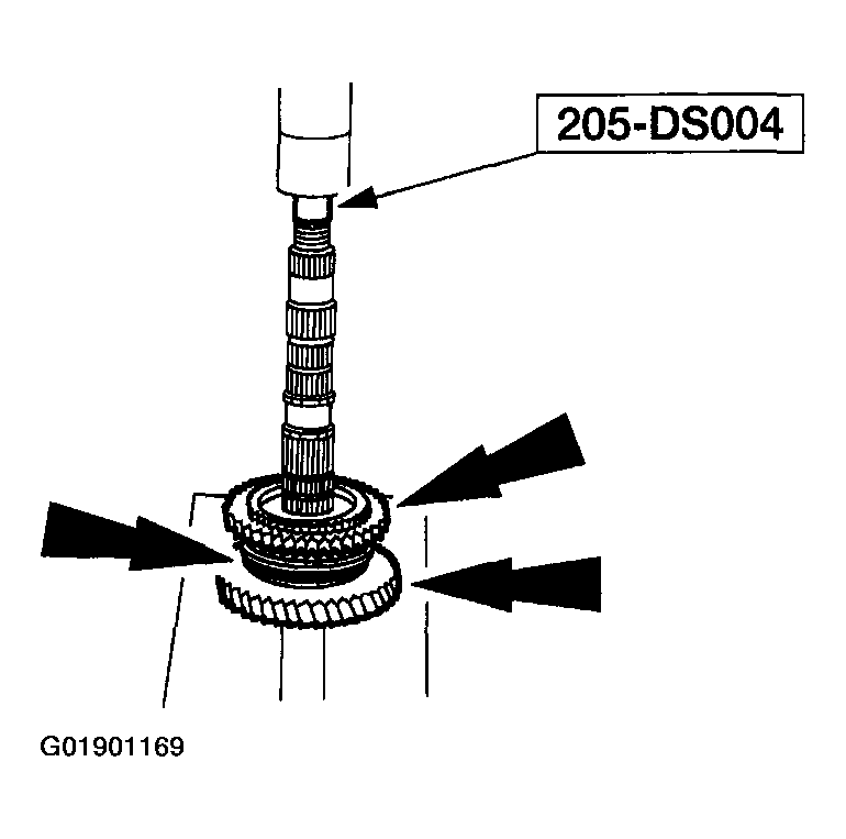 G01901169