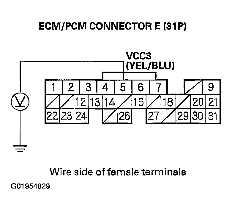 G01954829