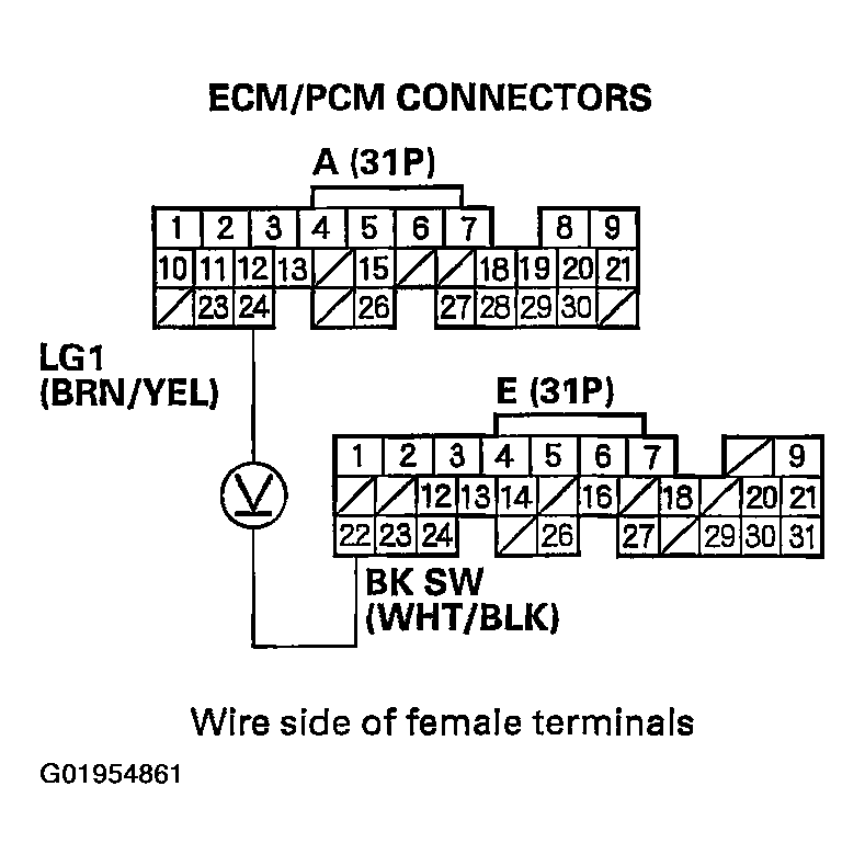G01954861