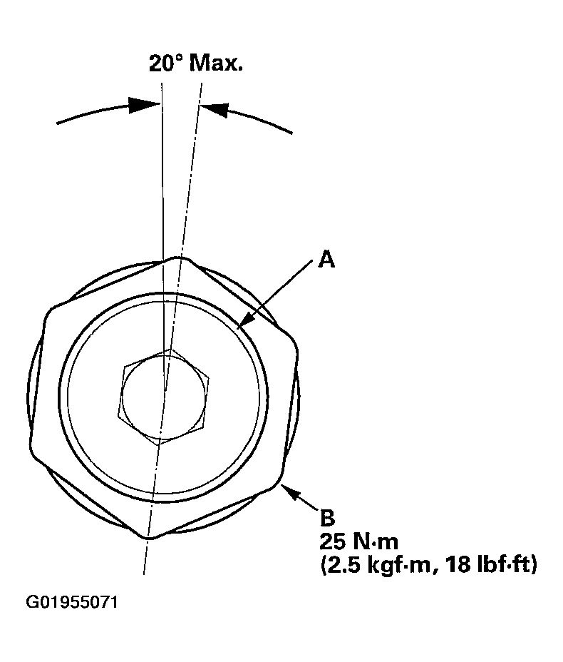 G01955071
