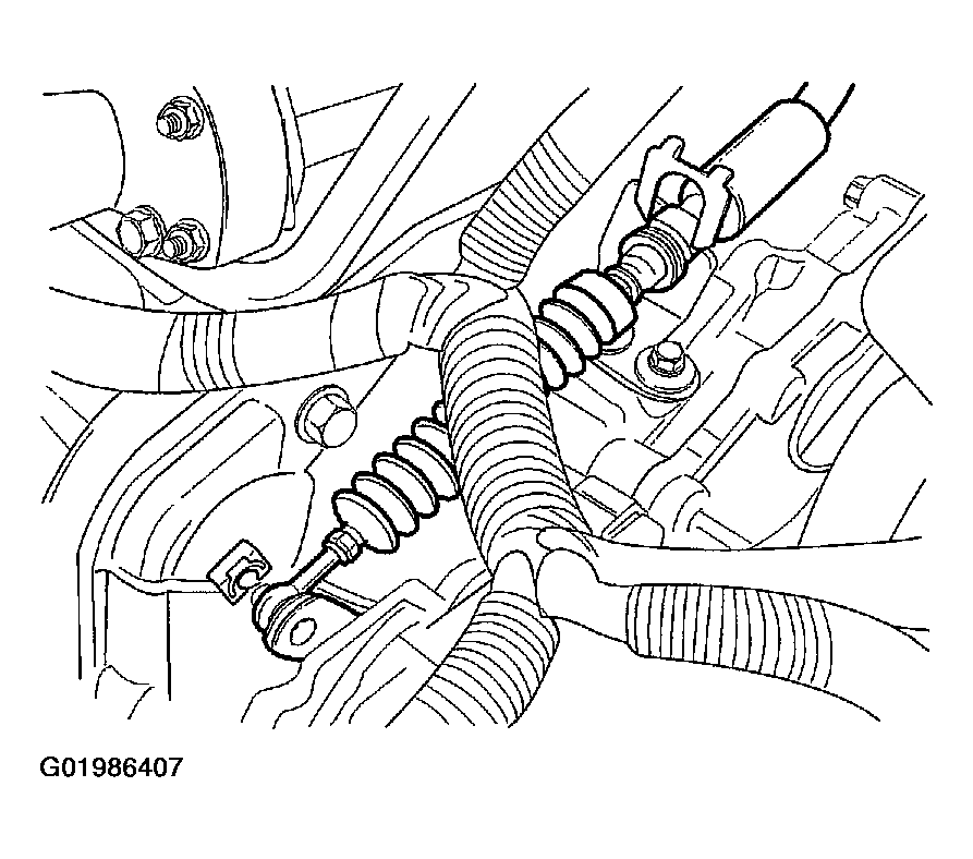 G01986407