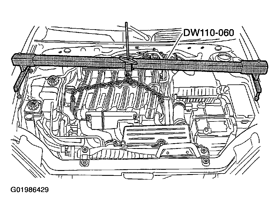 G01986429