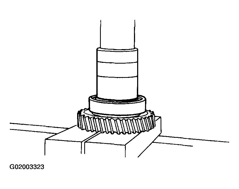 G02003323