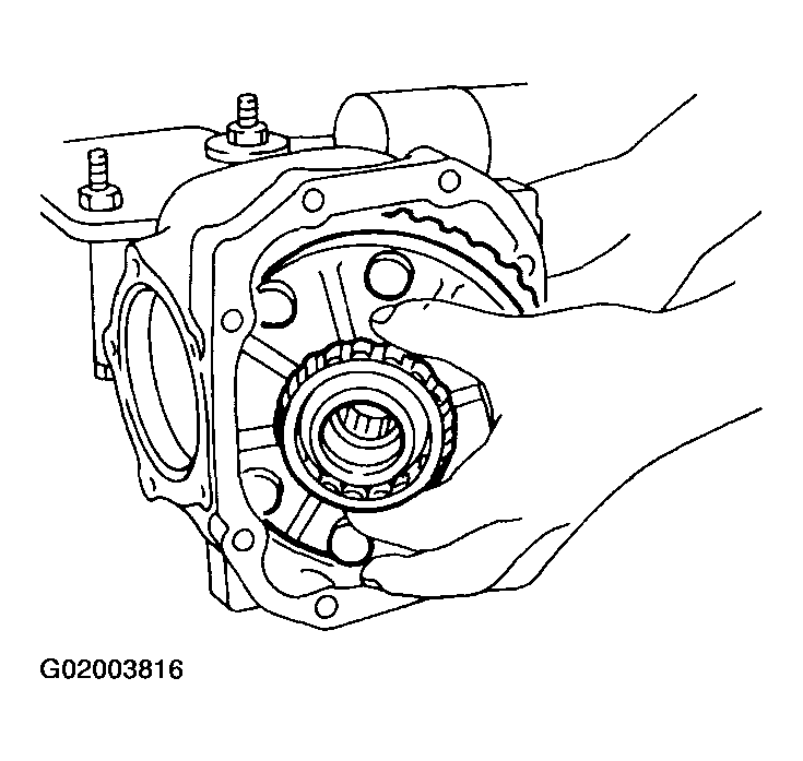 G02003816