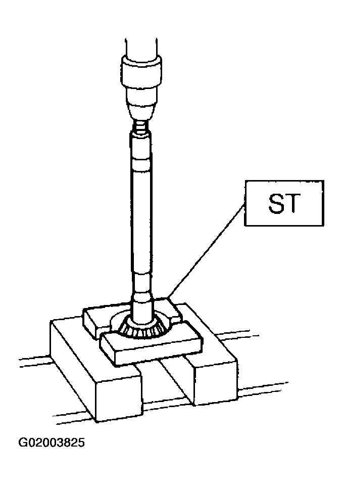 G02003825