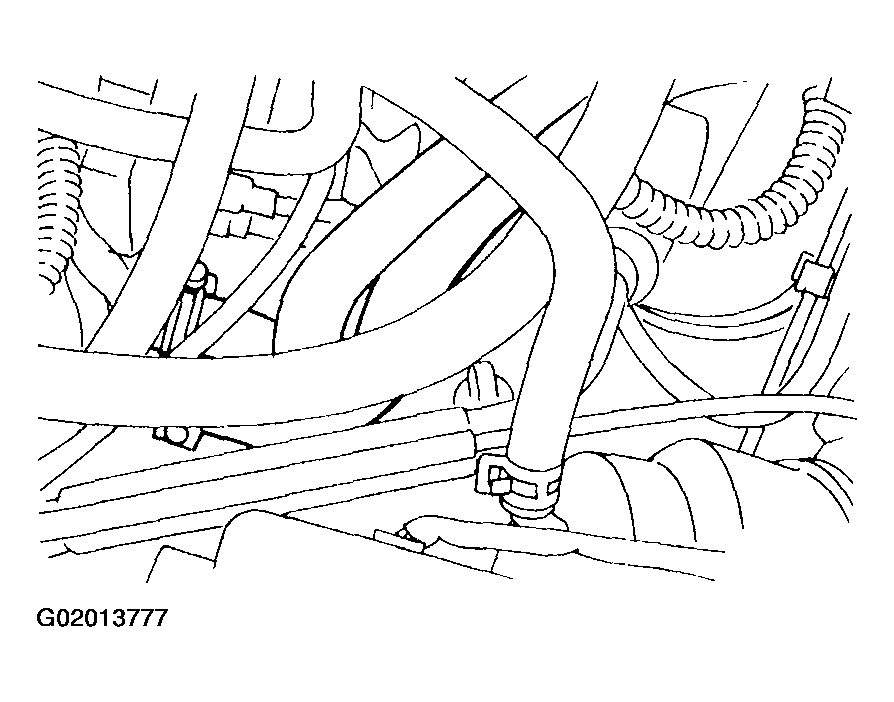 G02013777