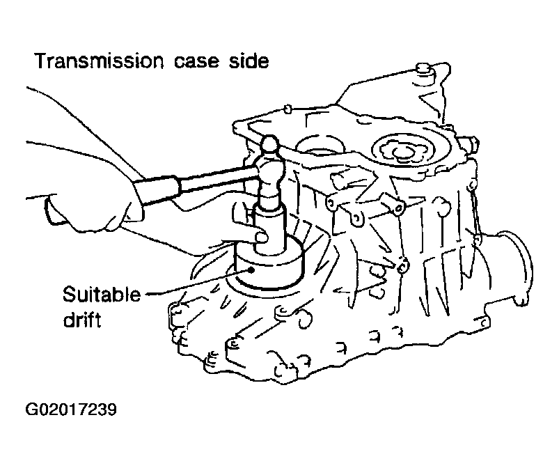 G02017239