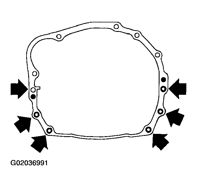 G02036991