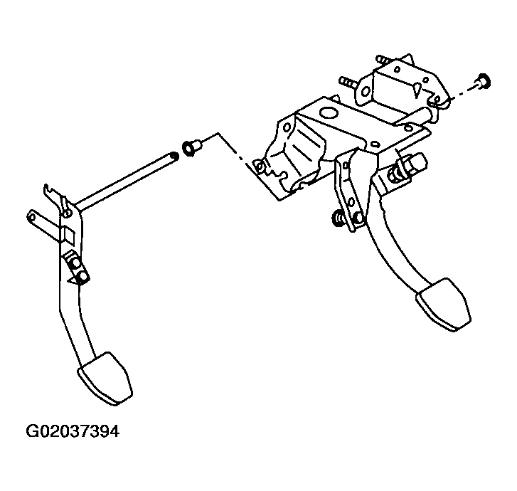 G02037394