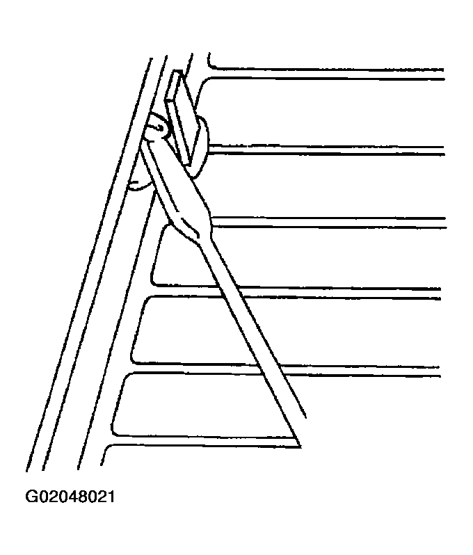 G02048021