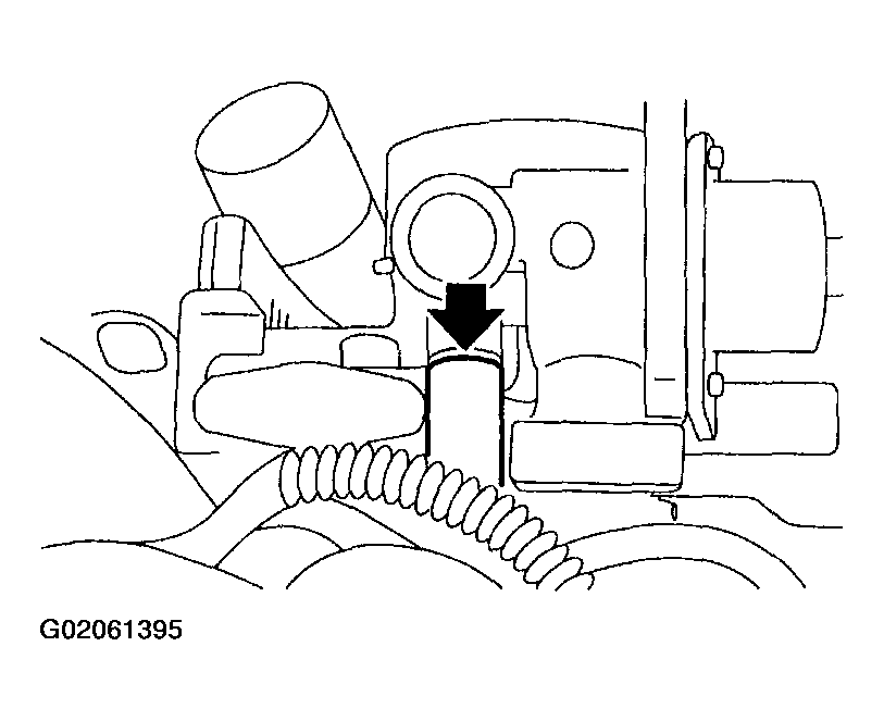 G02061395
