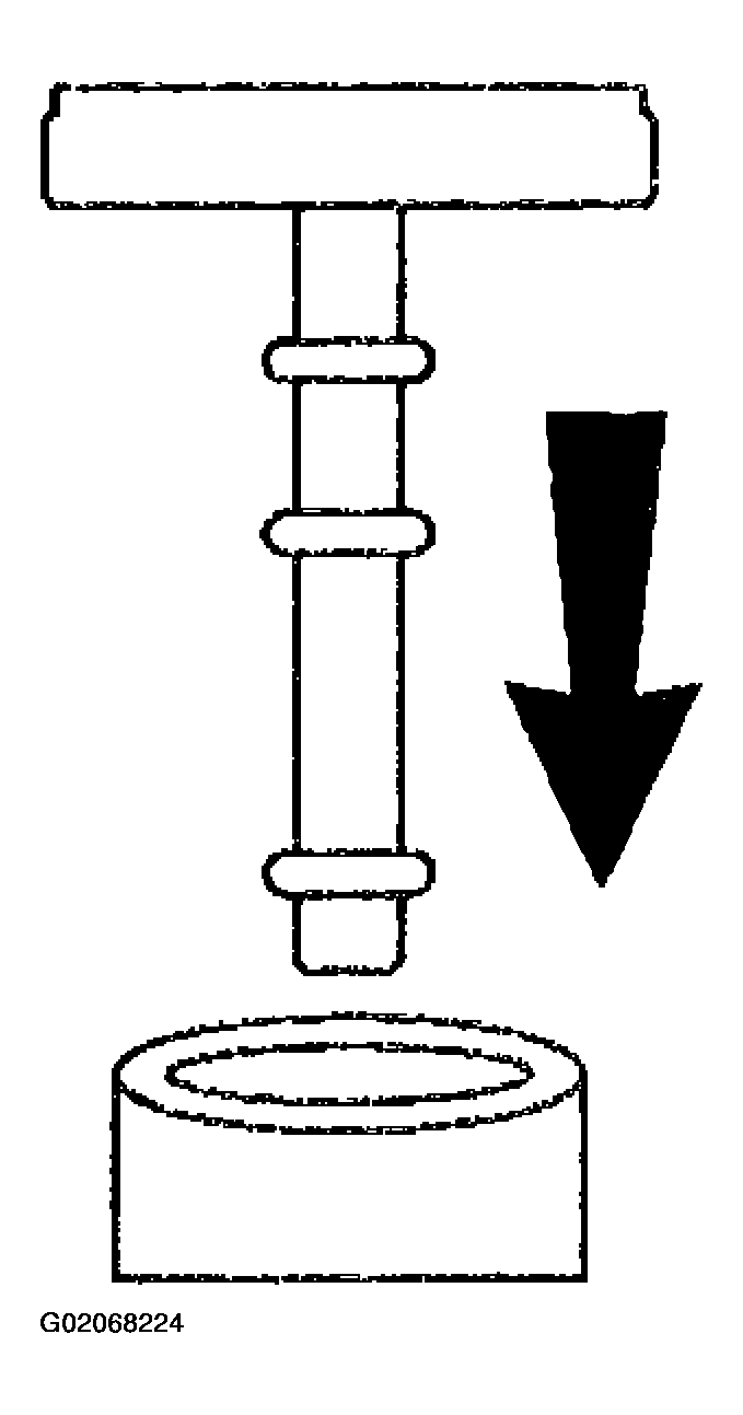 G02068224