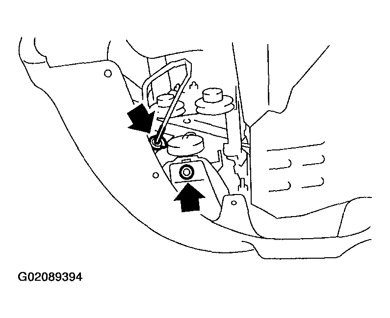G02089394