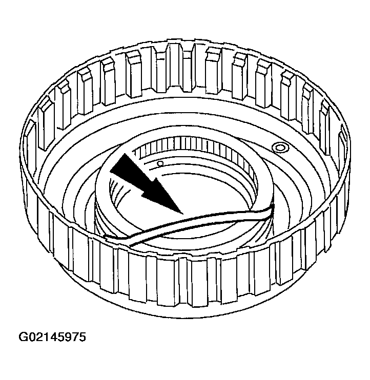 G02145975