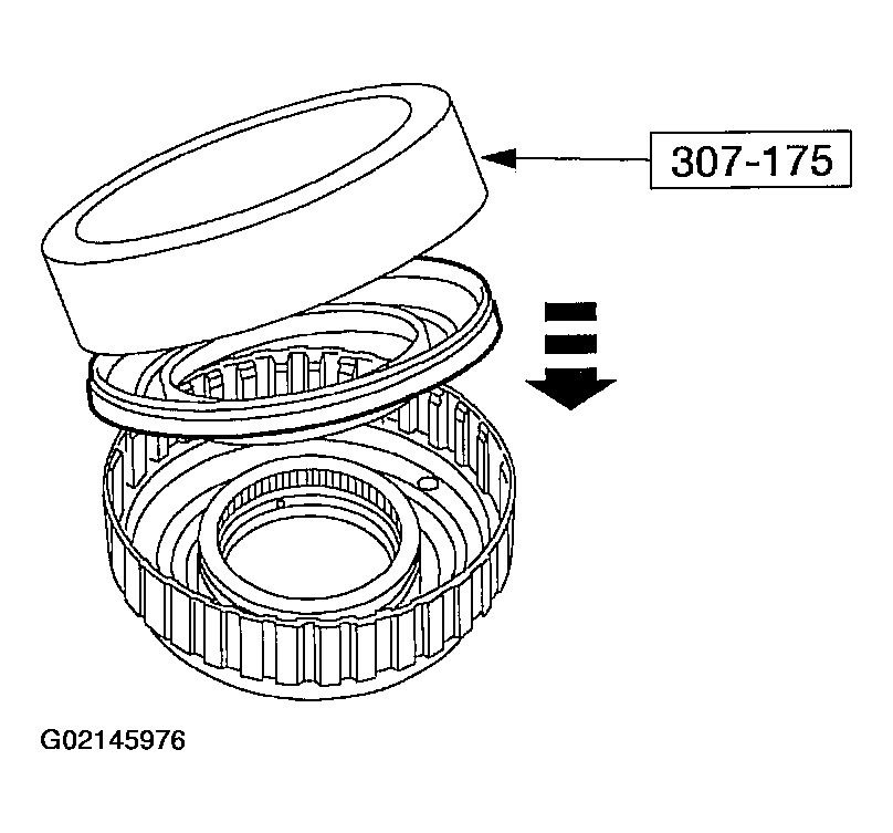 G02145976