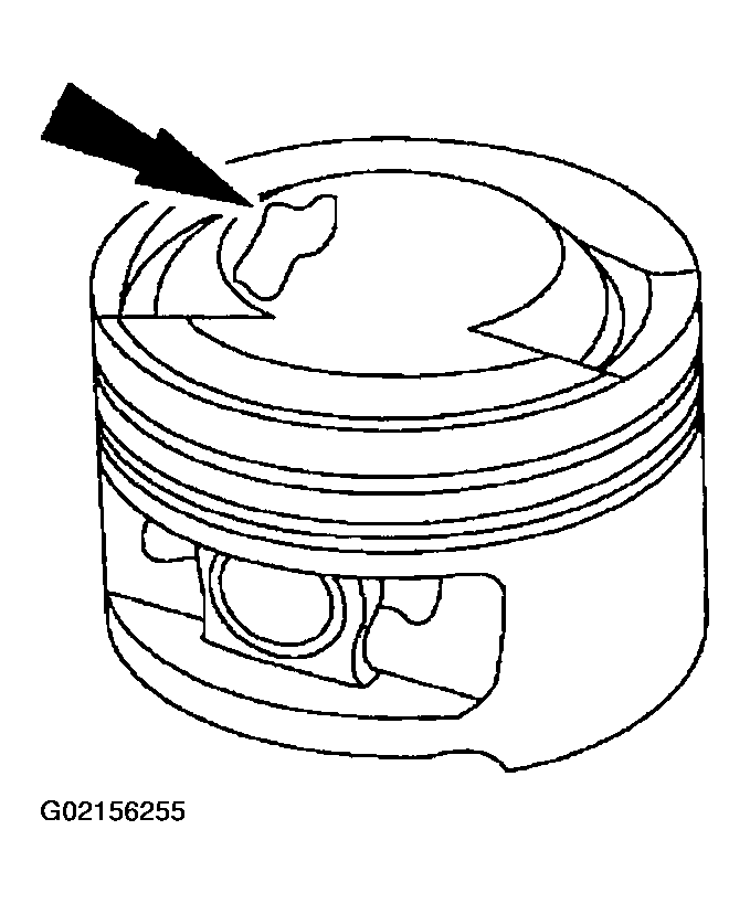 G02156255