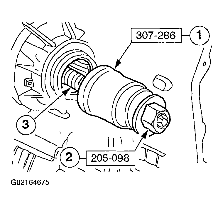 G02164675