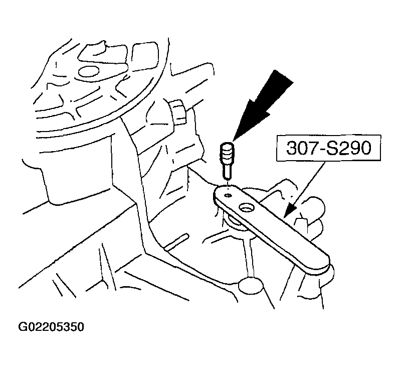 G02205350