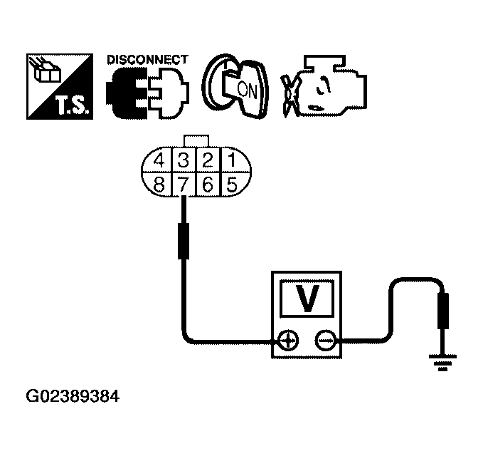 G02389384