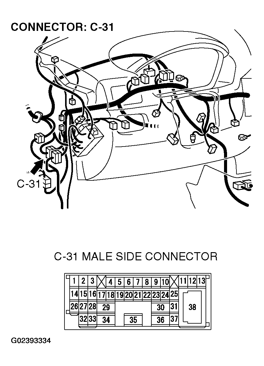 G02393334