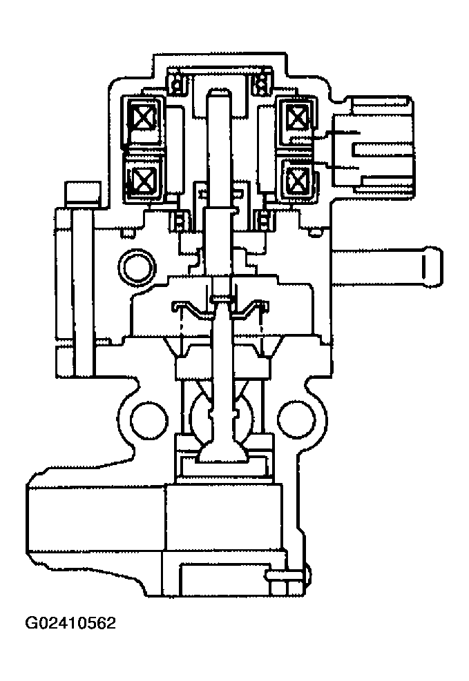G02410562