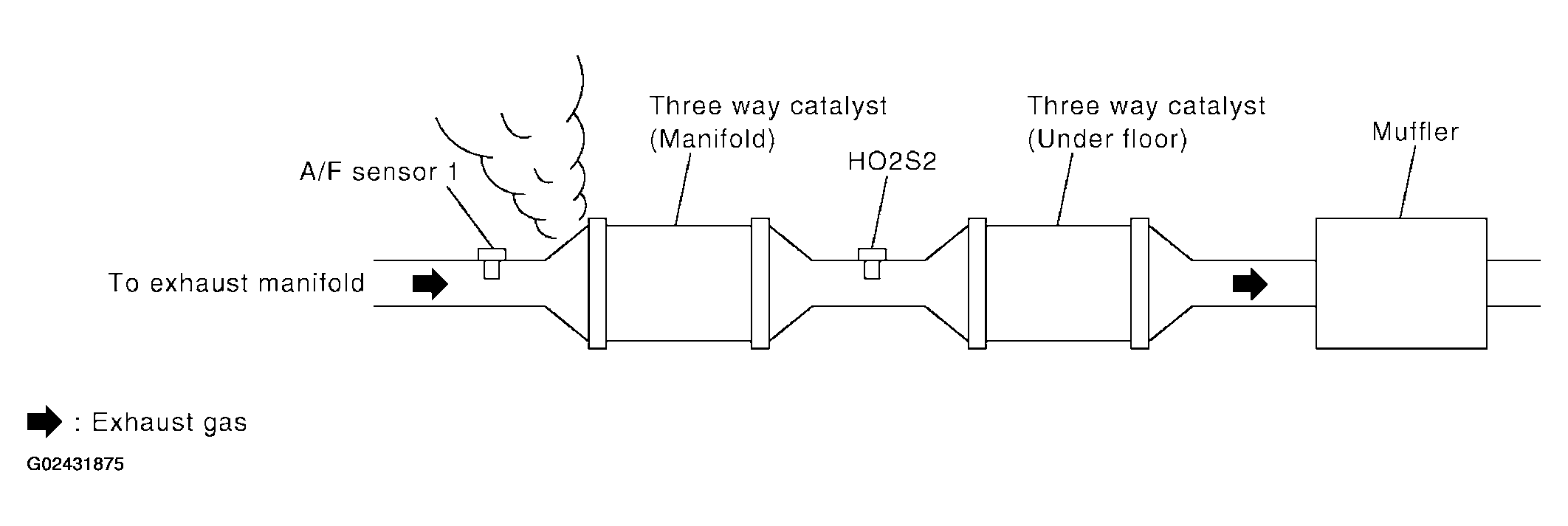 G02431875