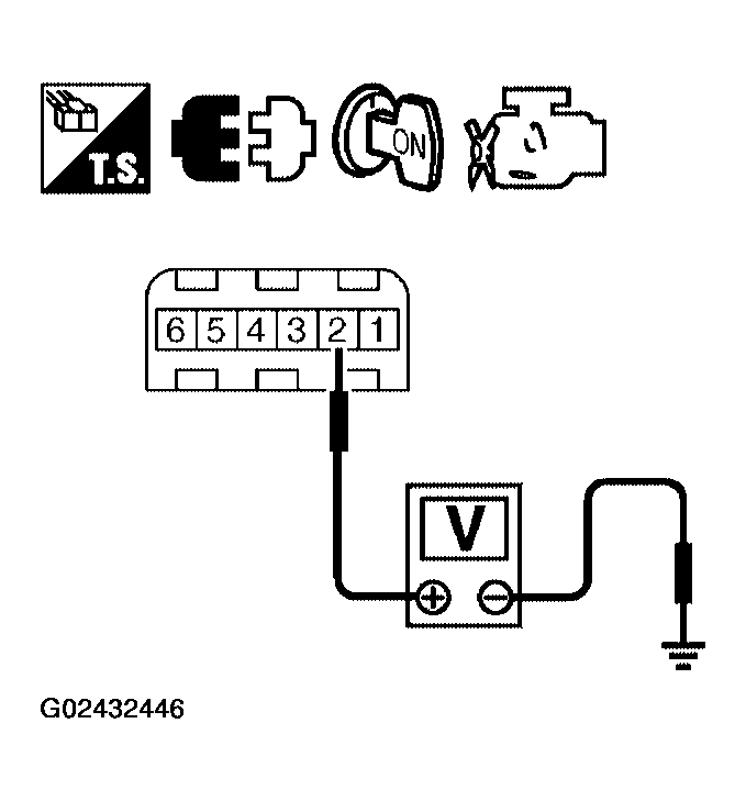 G02432446