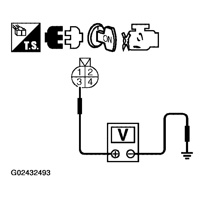 G02432493