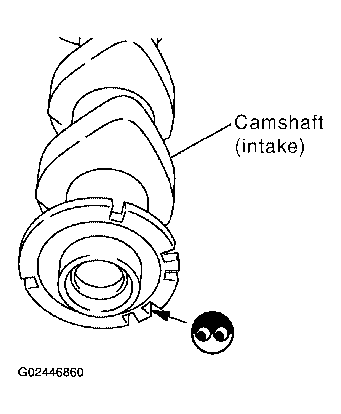 G02446860