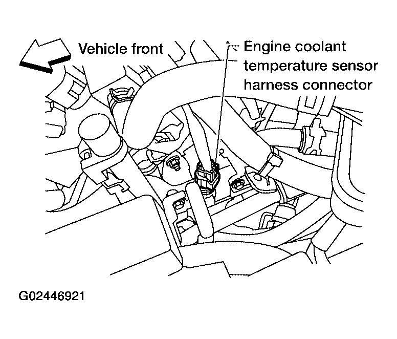 G02446921