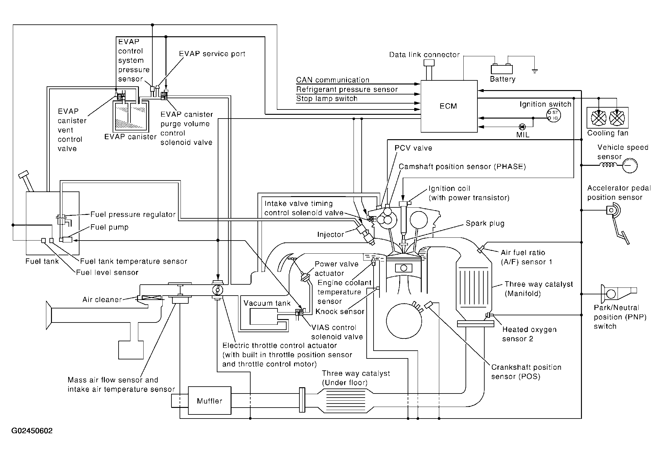 G02450602