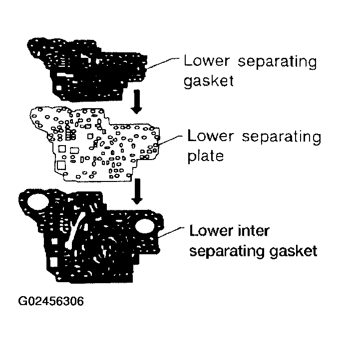 G02456306