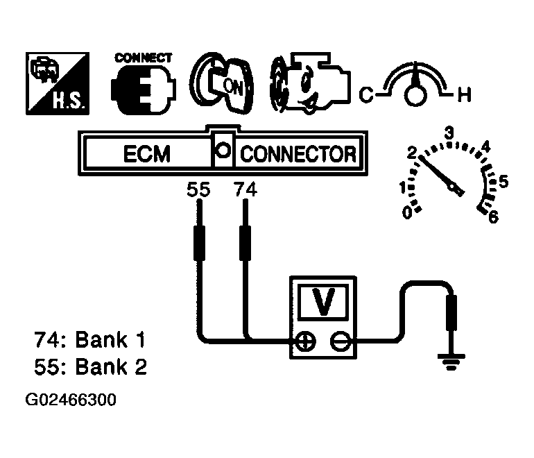G02466300