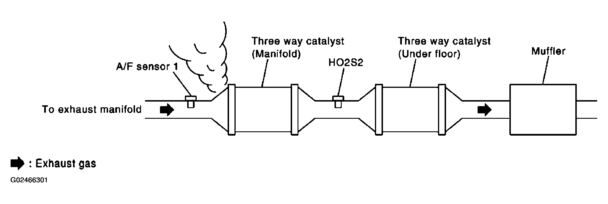G02466301