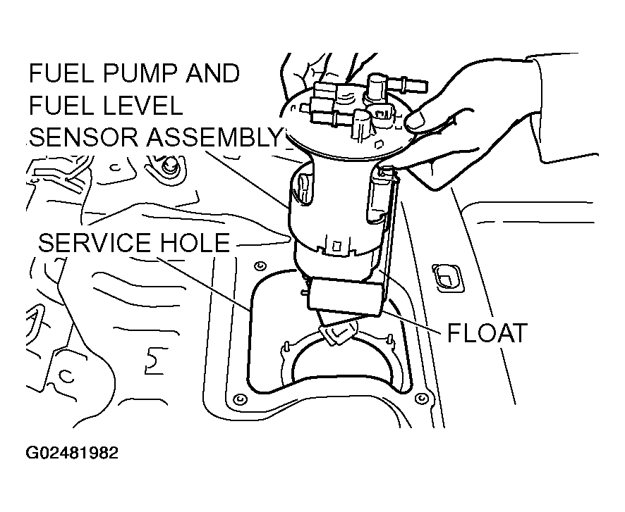 G02481982