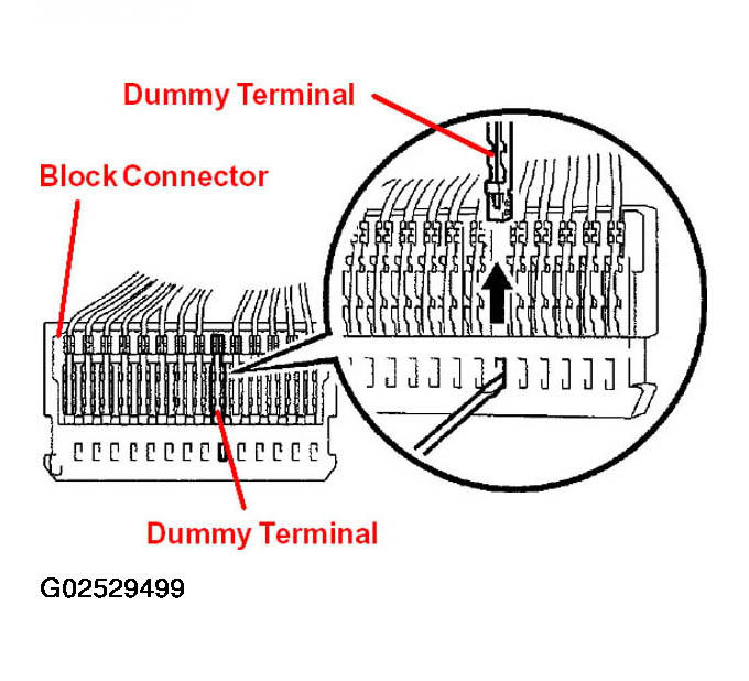 G02529499