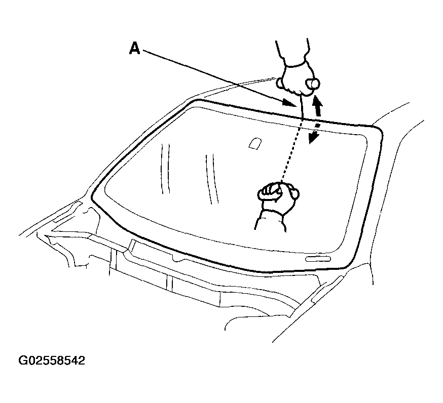 G02558542