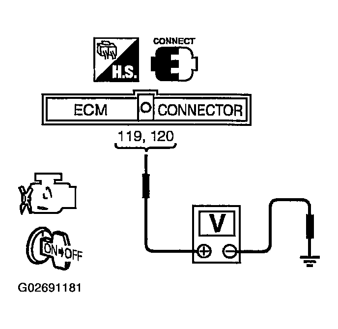 G02691181