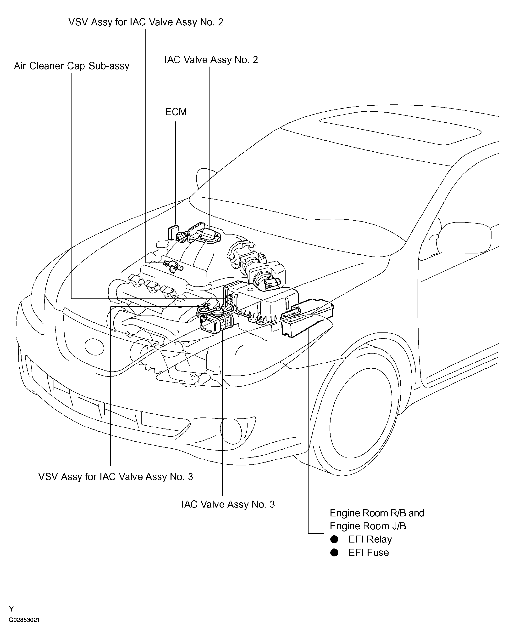 G02853021