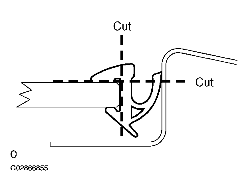 G02866855