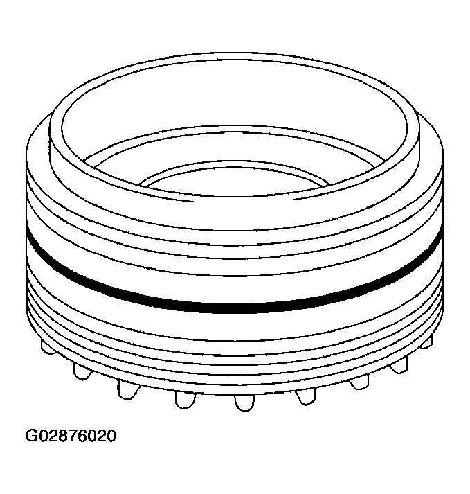G02876020