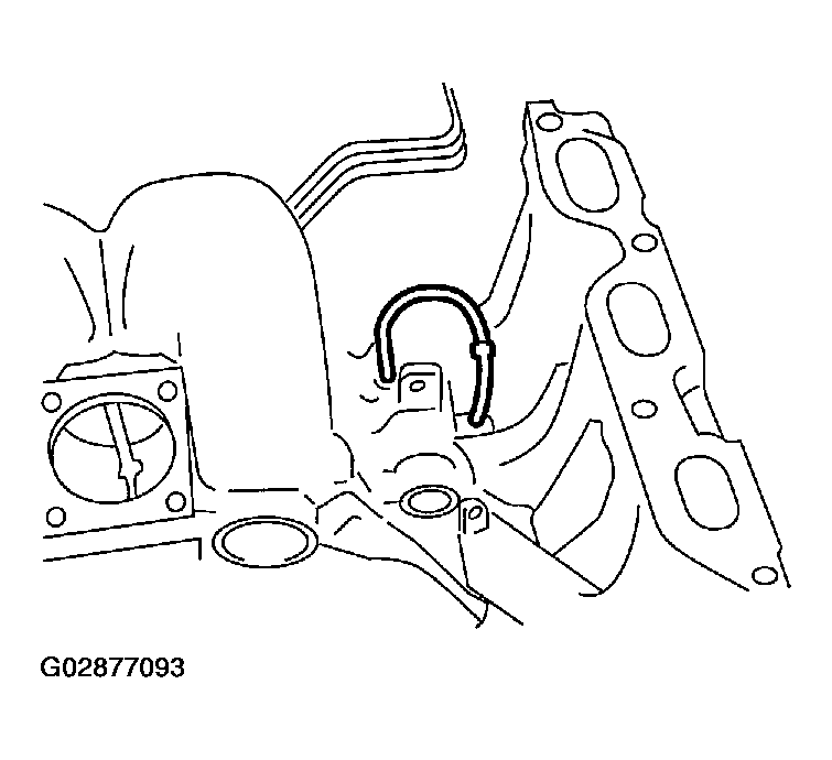 G02877093