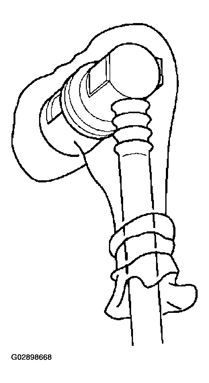 G02898668