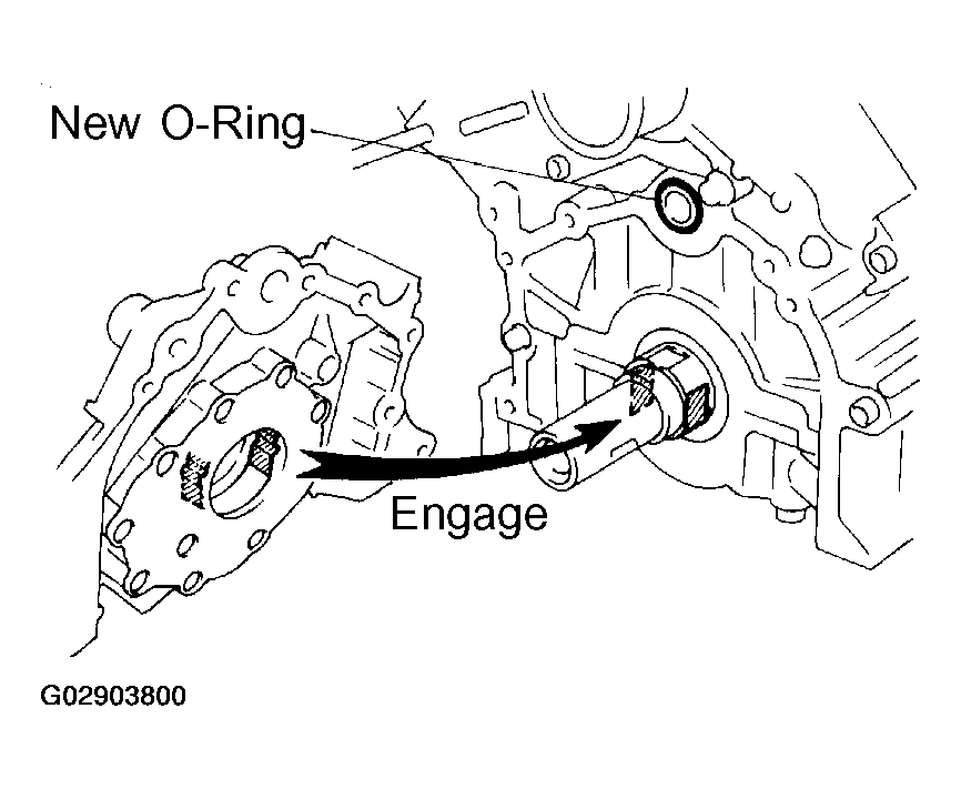 G02903800