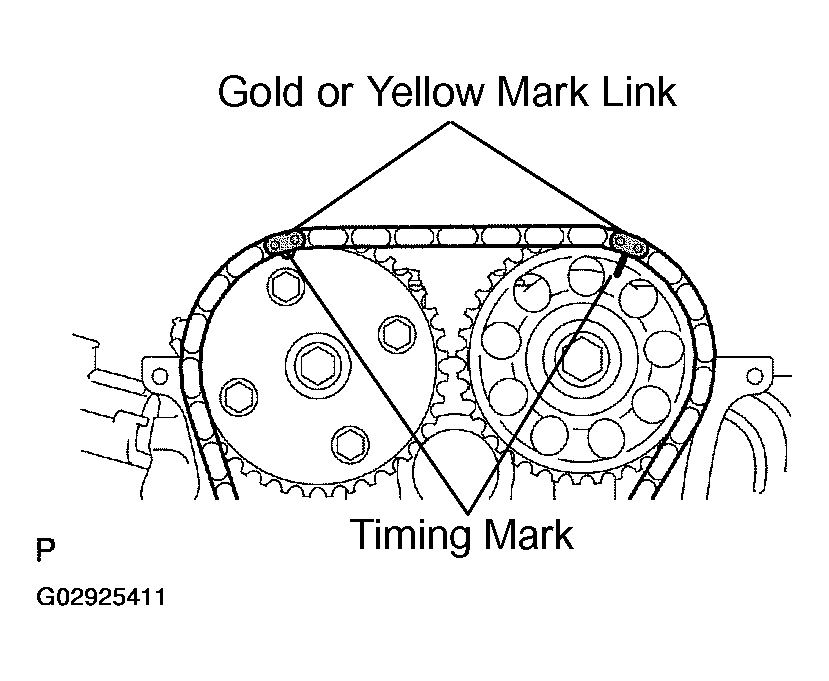 G02925411