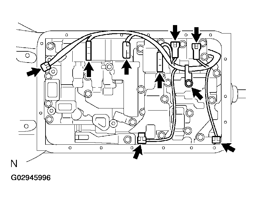 G02945996