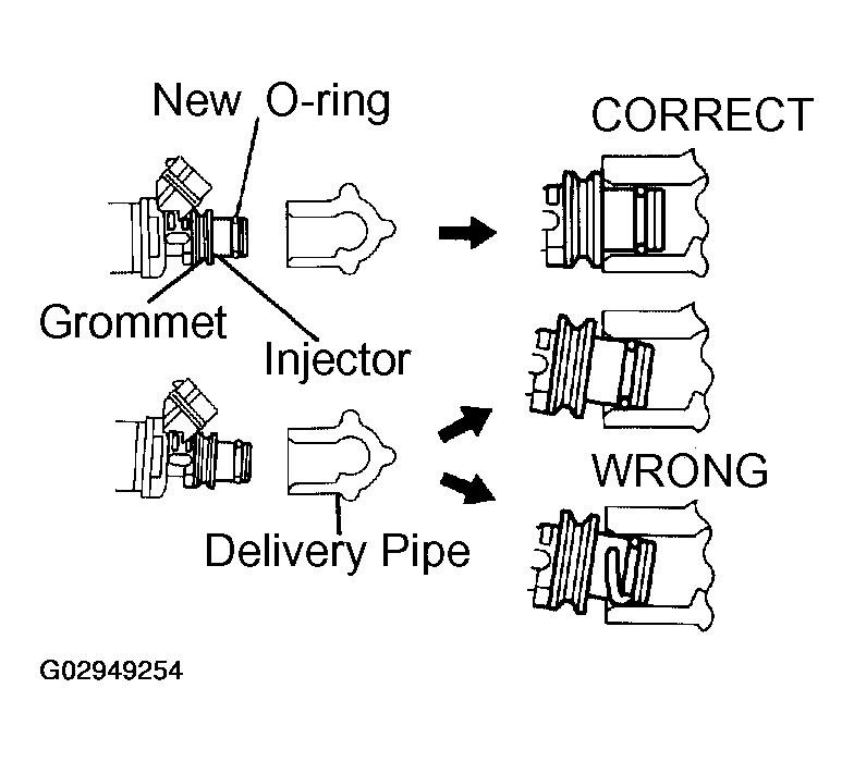 G02949254