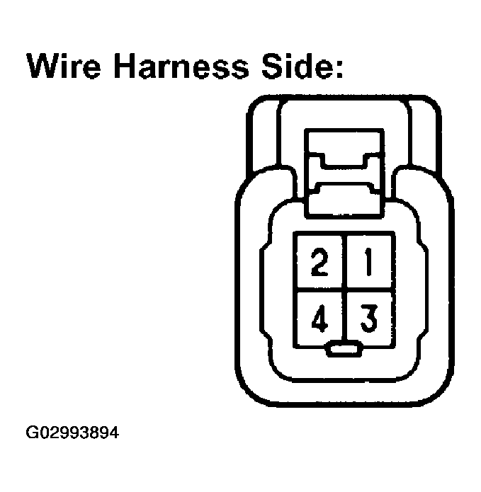 G02993894